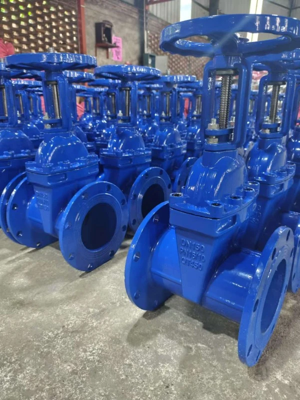 Osy Gate Valve