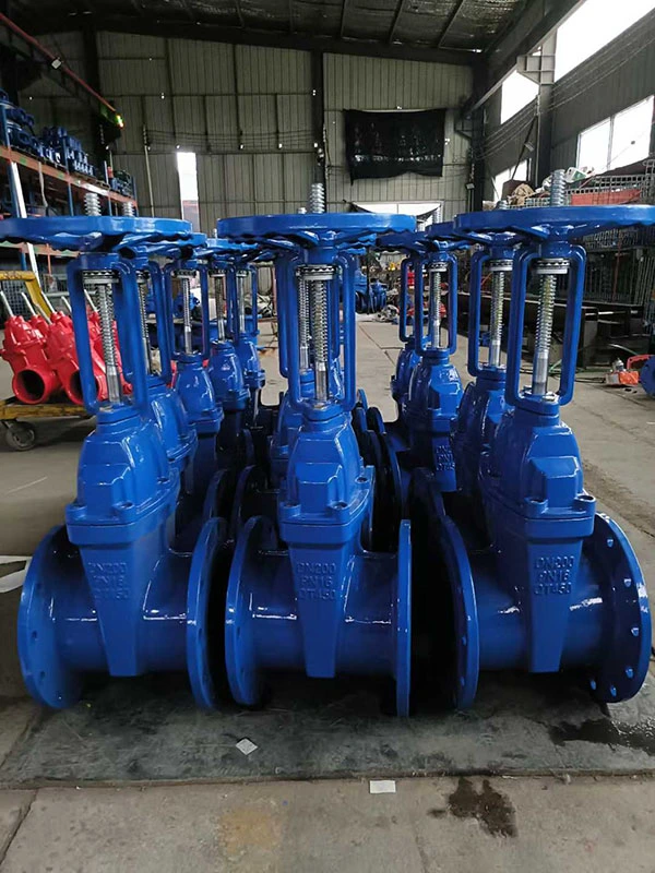 Nrs Gate Valve